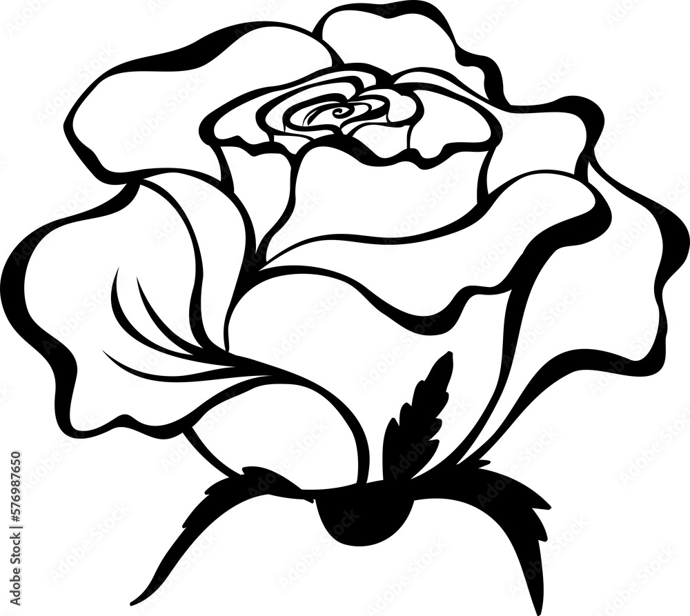 Contour bud rose Contour bud rose