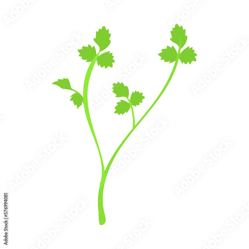 セリ。フラットなベクターイラスト。
Drop wort. Flat designed vector illustration.