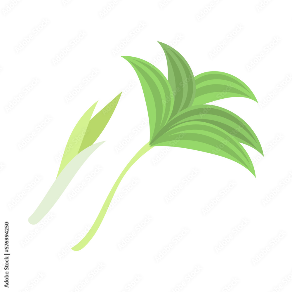 ユキザサ。フラットなベクターイラスト。
False Solomon’s seal. Flat designed vector illustration. ユキザサ。フラットなベクターイラスト。
False Solomon’s seal. Flat designed vector illustration.