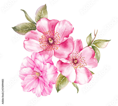 Bouquet of sakura flowers. Pink spring floral