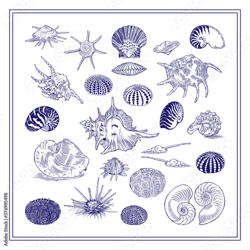 Seashells set. Vintage style hand-drawn graphic design collection. Vector illustration on a white background.