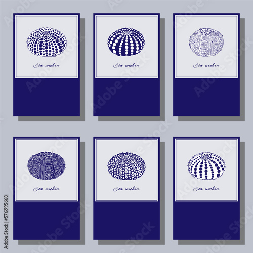 Sea urchins. Blue and white set. Vintage style cards and calendar pages. Vector illustration on a colorful background.