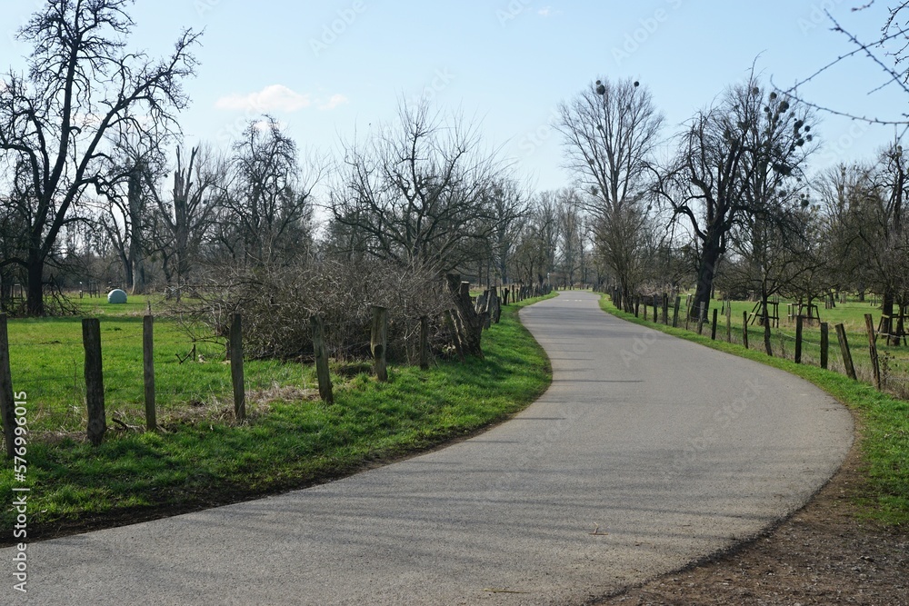 Strasse an der Urdenbacher Kämpe