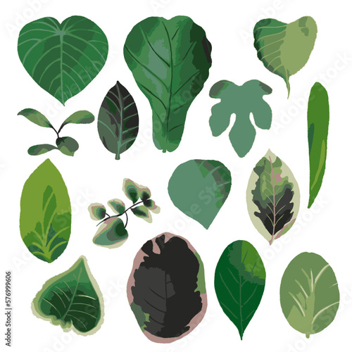 Vector of watercolor collection with various types of leaves on white background.