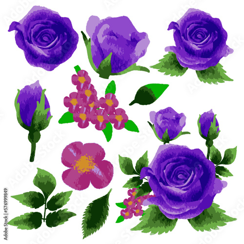 Vector Botanical set of wild flowers set of separate parts and bring together to beautiful bouquet of flowers in water colours