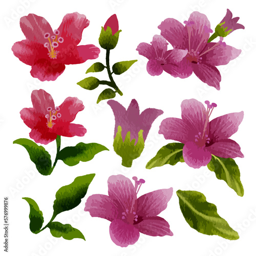 Vector Botanical set of wild flowers set of separate parts and bring together to beautiful bouquet of flowers in water colours