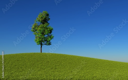 Isolated tree in a green meadow on blue. 3D Render
