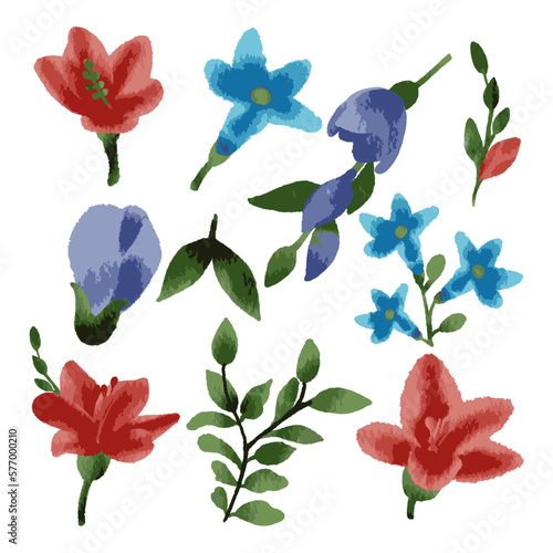 Vector Botanical set of wild flowers set of separate parts and bring together to beautiful bouquet of flowers in water colours