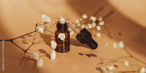 Small bottle of serum on neutral beige background. Trendy shadows. Beauty pipette dropper with Gypsophila or baby's breath white flowers. Glass of cosmetic oil and dried flowers and herbs. Natural