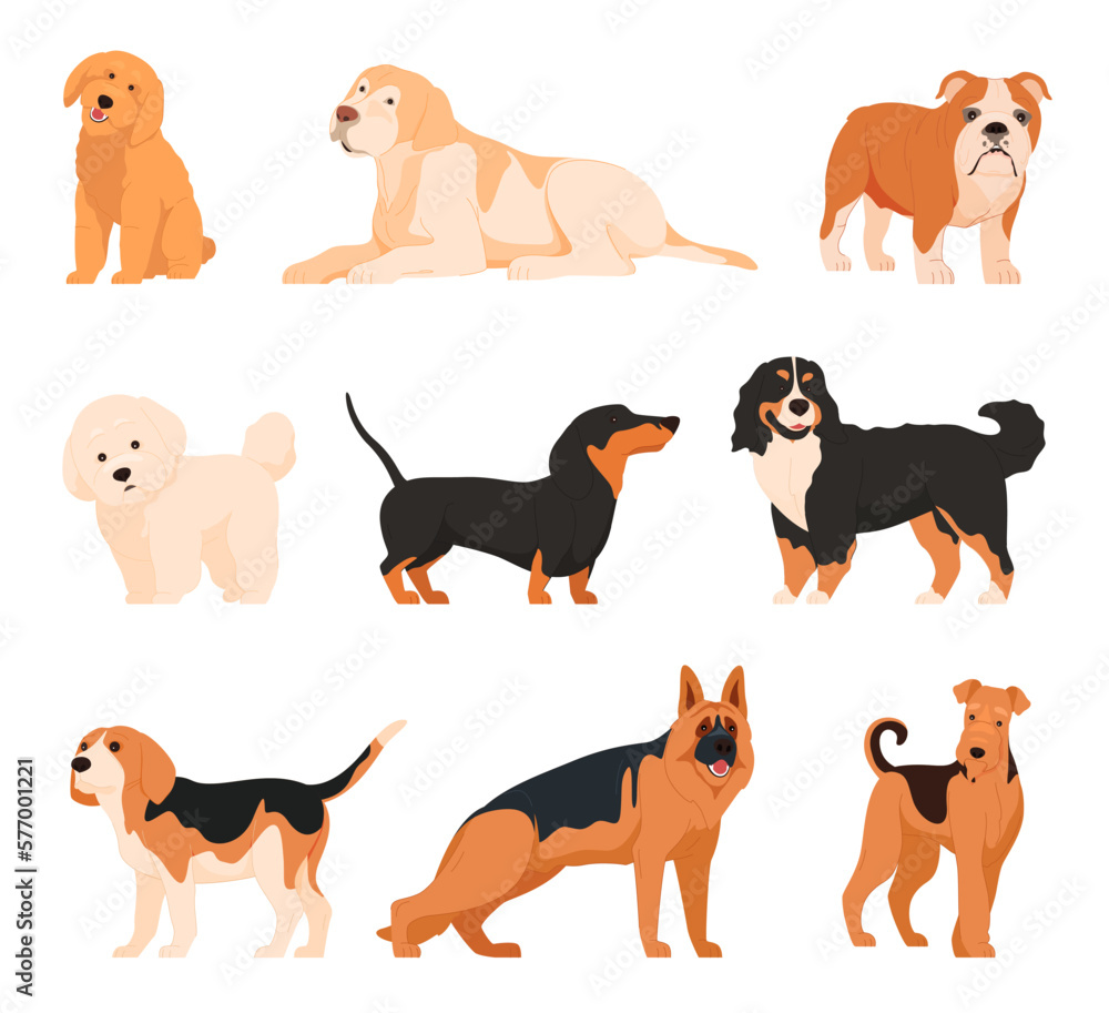 Different dogs in cartoon style. Large and small pets of various breeds. Four-legged friends, defenders of the house. Vector illustration Different dogs in cartoon style. Large and small pets of various breeds. Four-legged friends, defenders of the house. Vector illustration