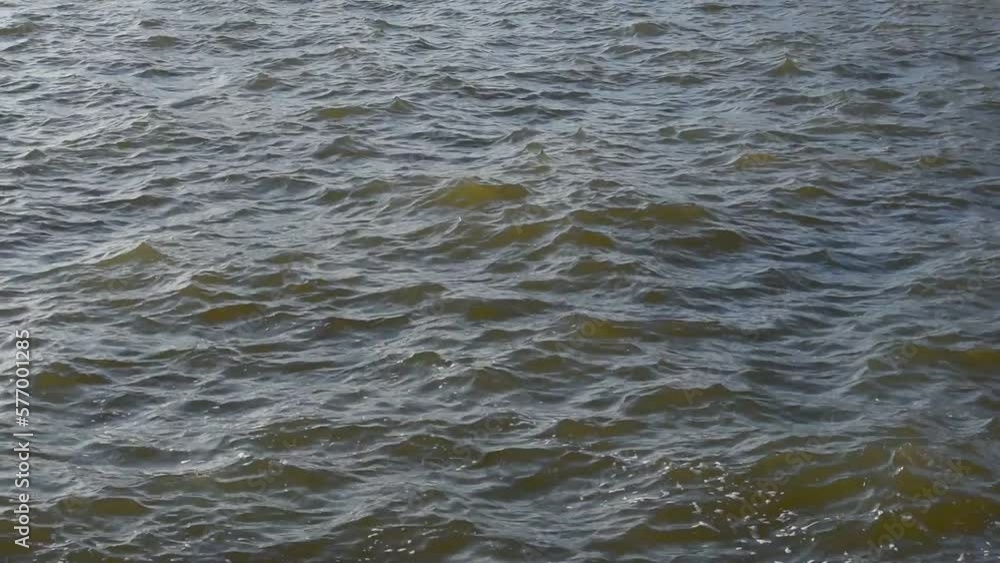 Plastic bag floating in the sea Plastic bag floating in the sea