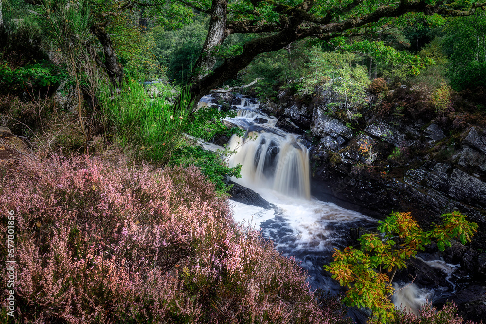 Obraz premium Rogie Falls on the River Black Water, Highlands, Scotland
