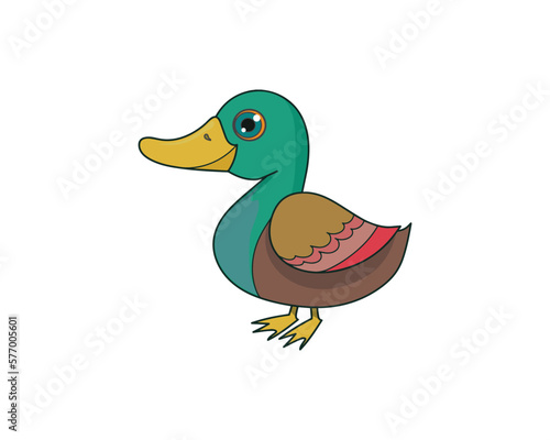 Duck vector isolated colour icon. Duck animal vector icon. Duck icon