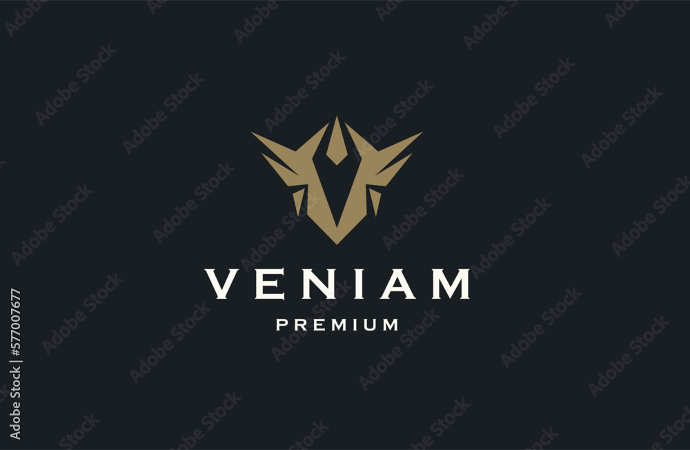 Letter V initial logo icon design template flat vector Letter V initial logo icon design template flat vector
