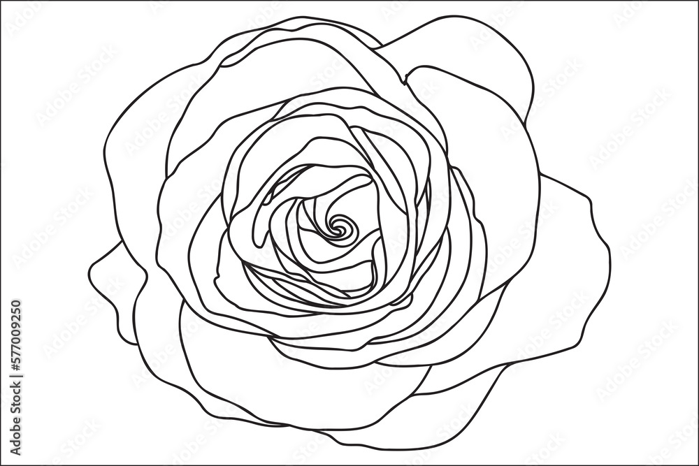 A single rose is drawn with a black outline, it is intended for tattoo, printing, cards, fabric printing, March 8, Valentine, label, logo and other occasions. A single rose is drawn with a black outline, it is intended for tattoo, printing, cards, fabric printing, March 8, Valentine, label, logo and other occasions.