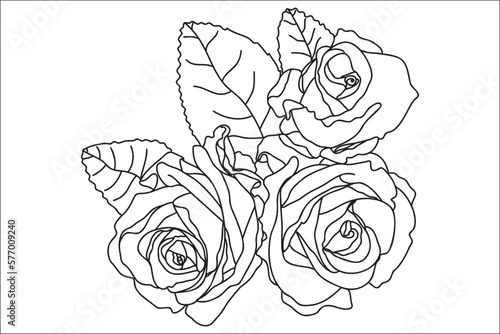 Roses with leaves black and white, intended for postcards, March 8, for Valentine ․