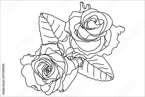 Roses with leaves black and white, intended for postcards, March 8, for Valentine ․