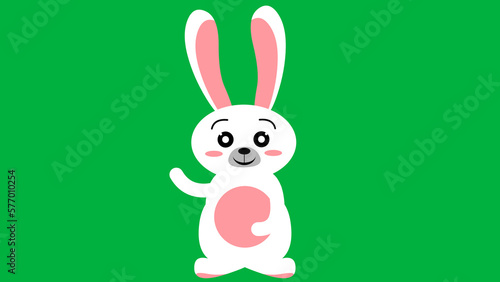 beautiful cute bunny standing on green screen