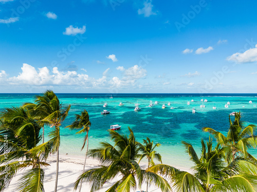 Aerial view through the green palm trees of many anchoring yachts and tourist boats in the turquoise Caribbean sea. Clear blue sky on the horizon. Fishing and vacation in Punta Cana