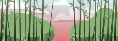 Passage in bamboo grove. Sunset red pink. Tropical reed beds. Jungle and rainforest of southern latitudes. Cartoon fun style. Flat design. Vector