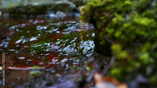 苔の岩と川の水の流れ