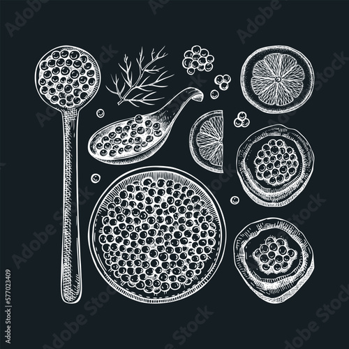Hand-drawn red caviar sketches set isolated on chalkboard. Red caviar in opened tin can, caviar canape, lemons, dill vector drawings. Seafood delicacy illustrations for restaurant or finger food