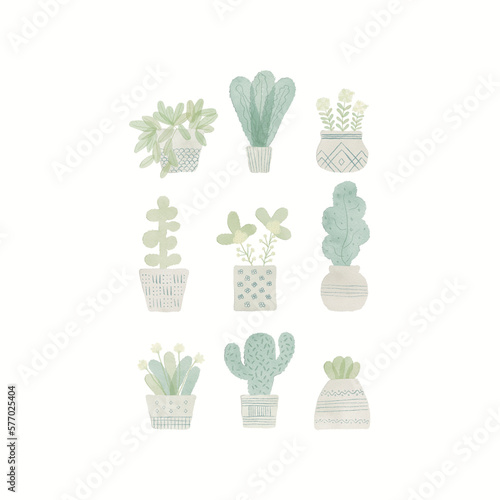 Set of flowers and plants in pots, garden plants, decorative design elements, hand drawn watercolor illustration isolated on white background for your design, text or wallpapers.
