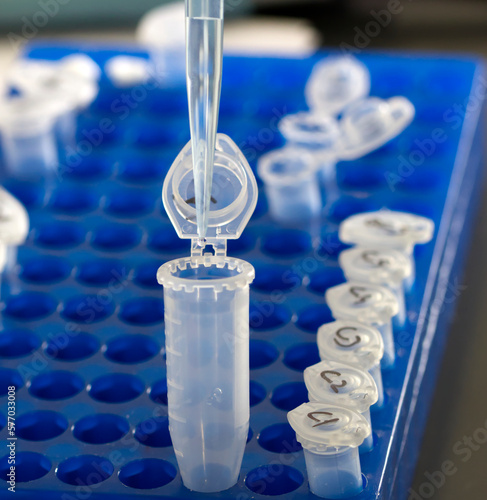 Eppendorf tubes on the rack and pipette. Close up in blue tone