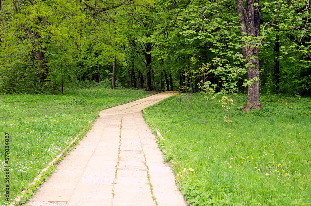 Stone paving block walk path in the spring park