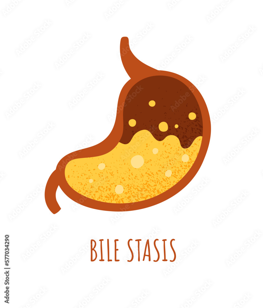 Bile stasis stomach concept. Pain and illness, suffering. Digestive