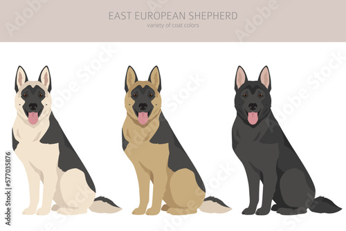 East european shepherd clipart. Different coat colors set
