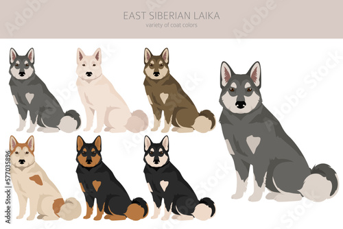 East siberian laika clipart. Different coat colors set