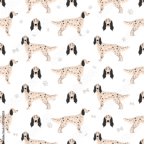 English setter seamless pattern