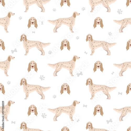 English setter seamless pattern