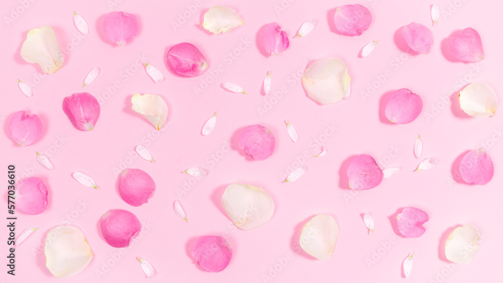 Pink and white natural petals of rose and chamomile flowers on a pastel pink background. Floral flat greeting card.