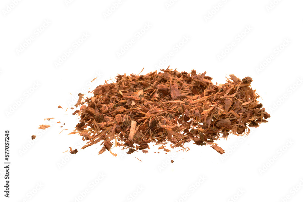 oak bark isolated on white background oak bark isolated on white background