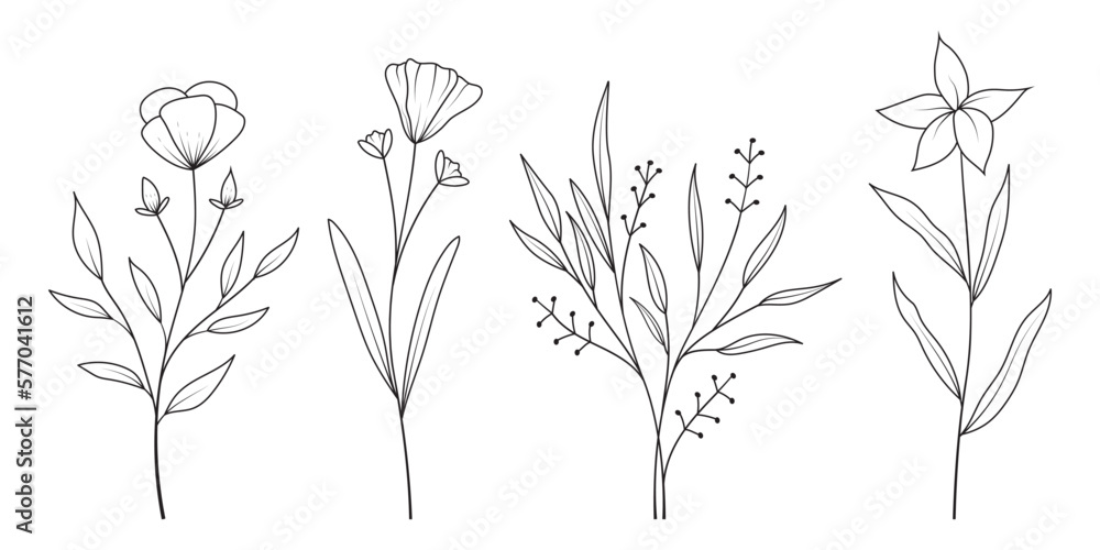 Set of minimal hand drawn botanical floral elements. Branches and leaves Set of minimal hand drawn botanical floral elements. Branches and leaves