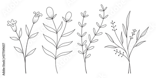Fototapeta Naklejka Na Ścianę i Meble -  Set of minimal hand drawn botanical floral elements. Branches and leaves
