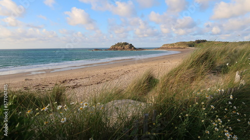 Plage de sable fin avec vue sur l’île du Guesclin, à Saint-Coulomb, en Bretagne, avec des fleurs (marguerites) et des oyats au bord de la mer au printemps (France) photo