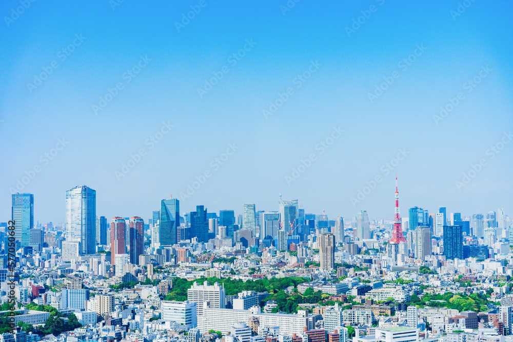 Fototapeta premium 東京の都心風景