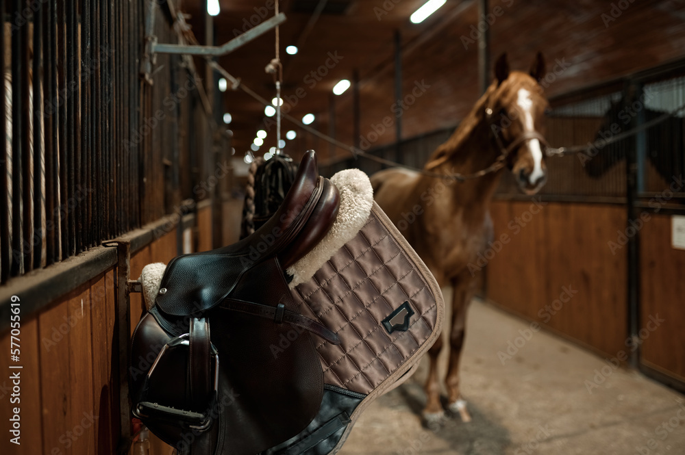Selective focus on saddle in contemporary horse stalls