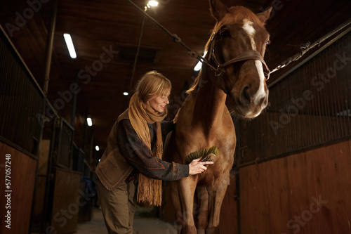 Closeup portrait of happy horsewoman cleaning her stallion with brush