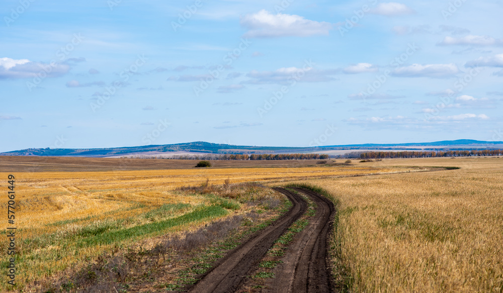 Country road through the yellow fields. Clear blue sky. Autumn colors. Idyllic rural scene. Seasons, fall, nature, eco tourism, logistics, distance.