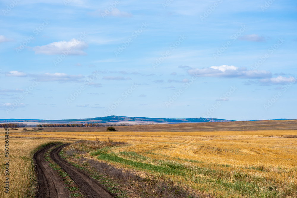 Country road through the yellow fields. Clear blue sky. Autumn colors. Idyllic rural scene. Seasons, fall, nature, eco tourism, logistics, distance.