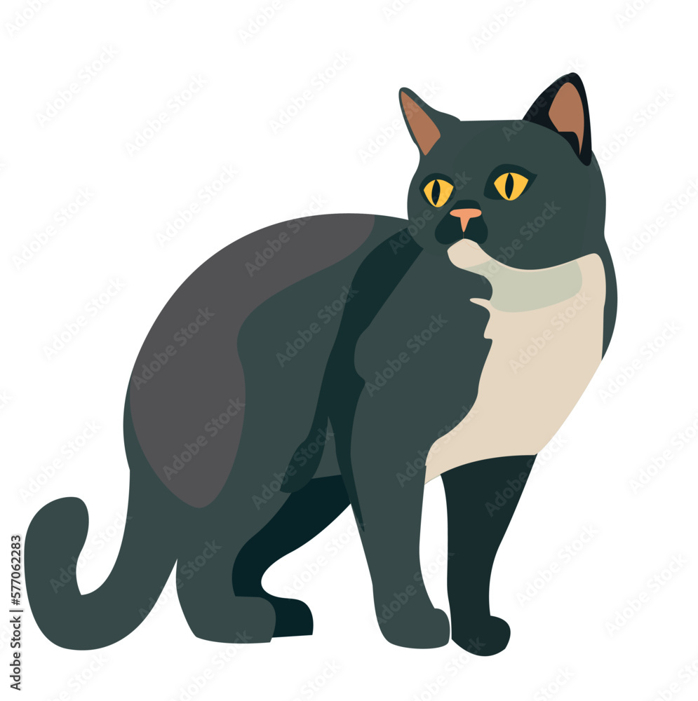 cartoon cat . cat vector illustration cartoon cat . cat vector illustration