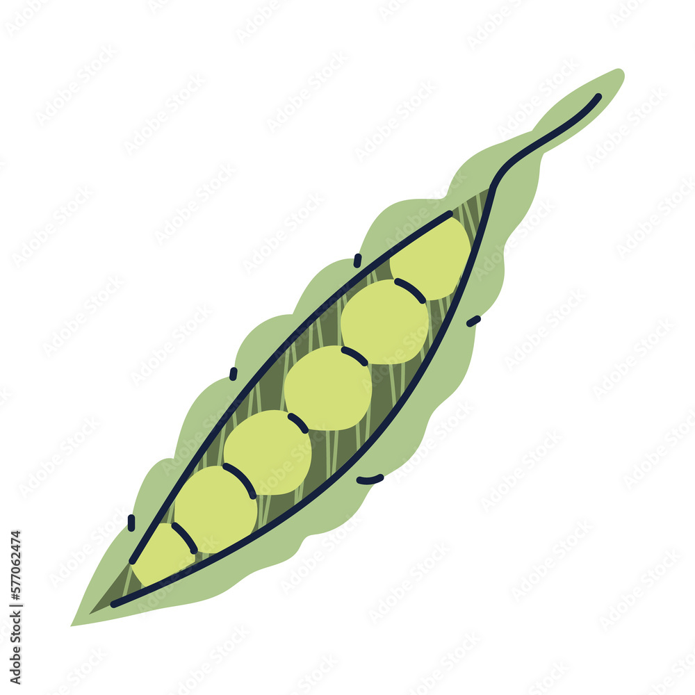 PNG image beans icon transparent background PNG image beans icon transparent background