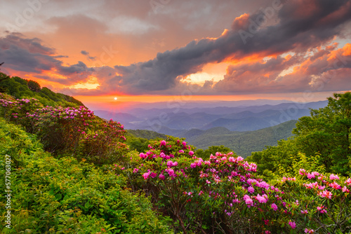 Craggy Gardens, North Carolina, USA