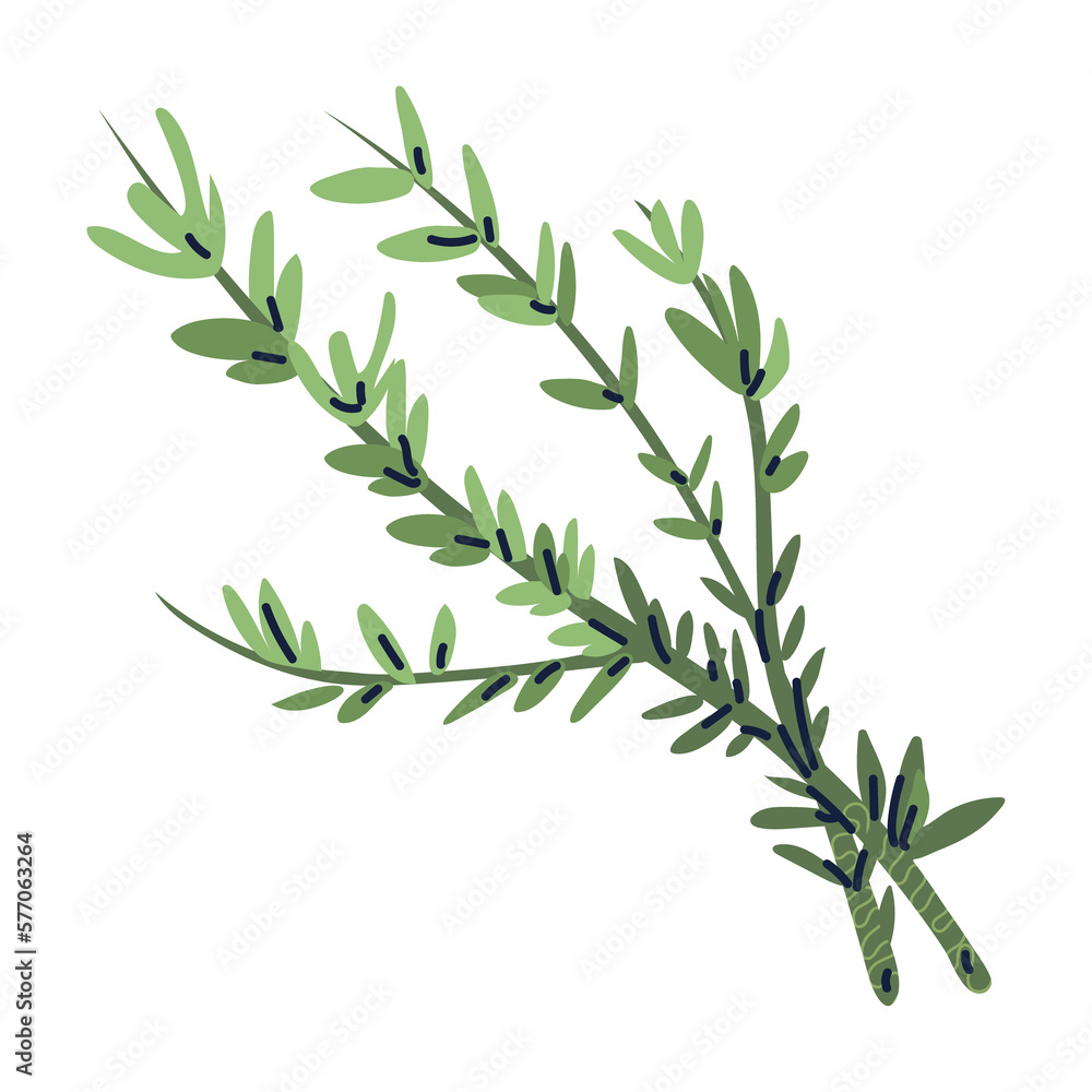 Obraz premium PNG image cooking herbs icon transparent background