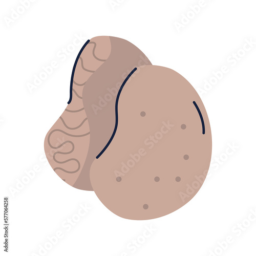 Potato PNG image icon with transparent background