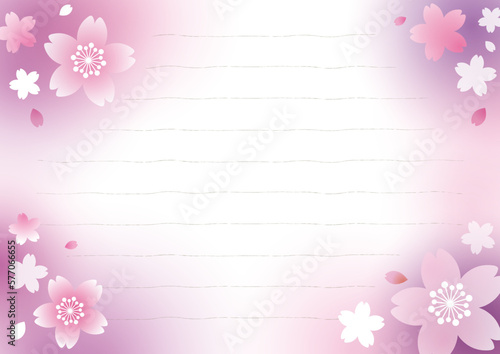 春の便箋　桜　パープル